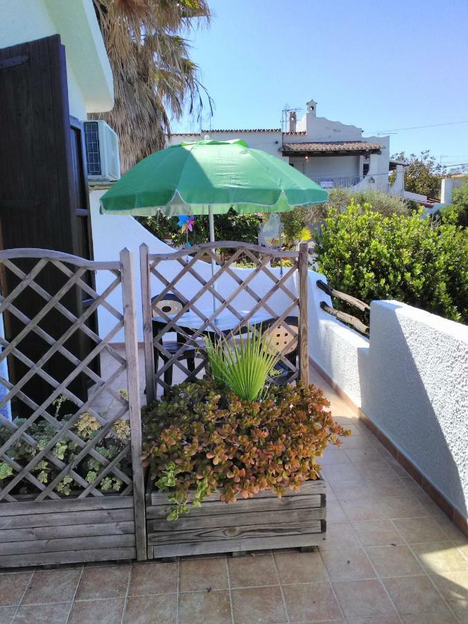 סארוק Villa Adelina מראה חיצוני תמונה