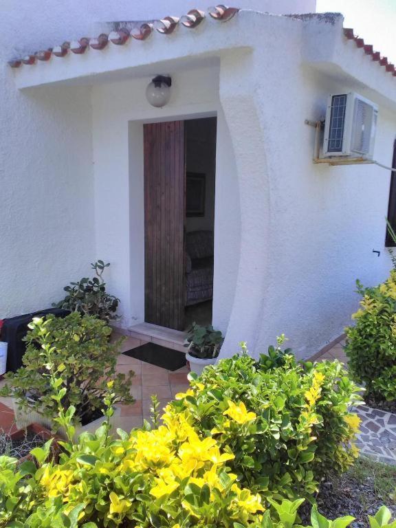 סארוק Villa Adelina מראה חיצוני תמונה
